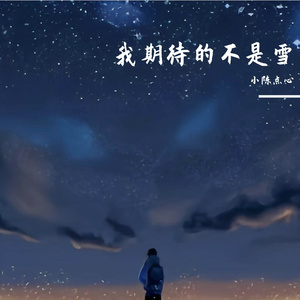 我期待的不是雪