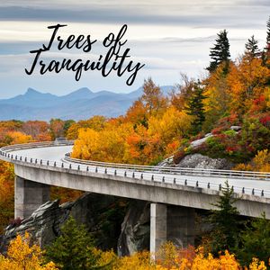 Sleep Deep Rain Sound