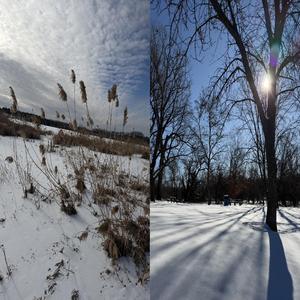 Cut Ties (Both Sides) (feat. Woodrot)