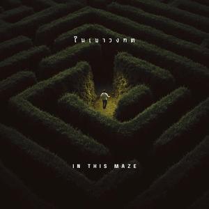 ในเขาวงกต (In this maze)