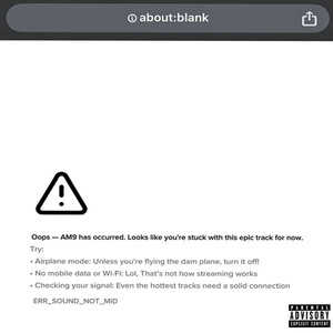 about:blank