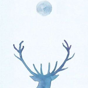 别怕变老（修璇）