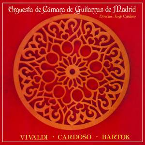 Concierto en D Major, RV 93, para Laúd, Cuerda y Continuo: II. Largo