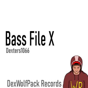 Bass File X