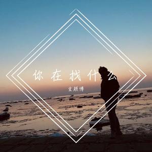 你在找什么