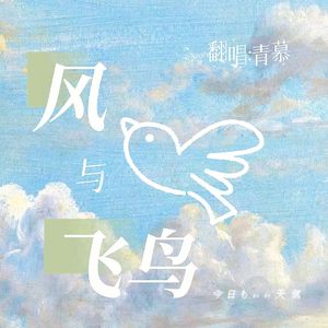 风与飞鸟
