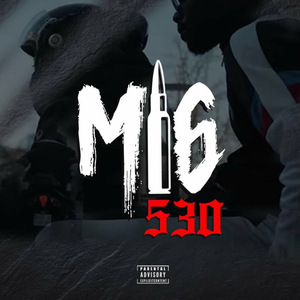 Freestyle 530