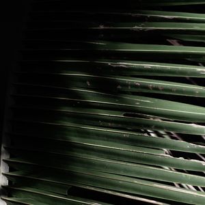 You Say Goodbye Easily（男声版）