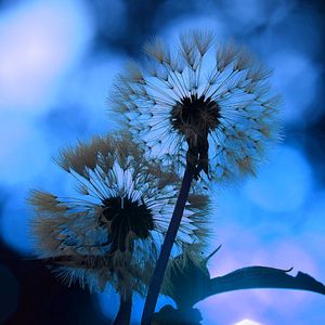 柔和的水疗护理时刻