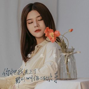 你把我送上了那列叫伤心的火车 (dj阿奇版)