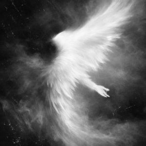 Ashes of a Halo