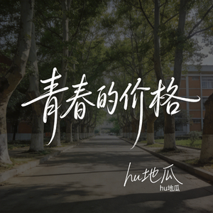 青春的价格（原版）