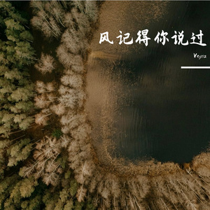 风记得你说过