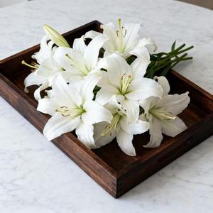 别 (Cover 合宇帆)