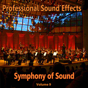 Professional Sound Effects Symphony of Sound 3828