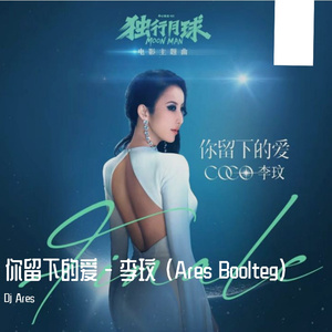 李玟-你留下的爱(Ares Boolteg)