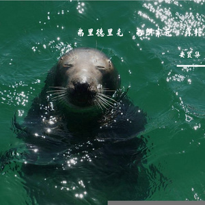 88106b41-5d85-4ce4-acf7-a4e5f8f55665