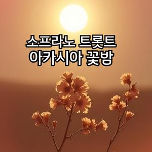 소프라노 트로트, 아카시아꽃 밤