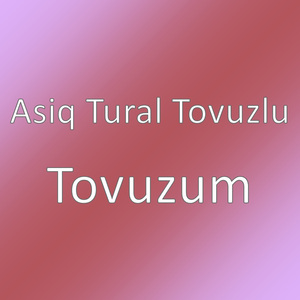 Tovuzum