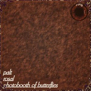 Photobooth of Butterflies