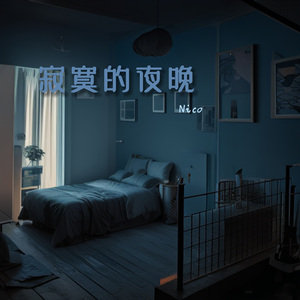 寂寞的夜晚