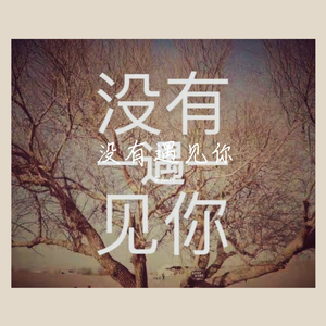没有遇见你