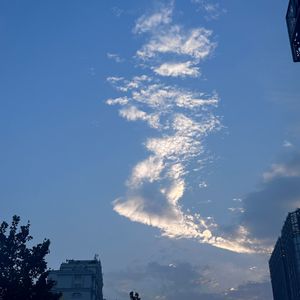 鳥の詩（钢琴版）