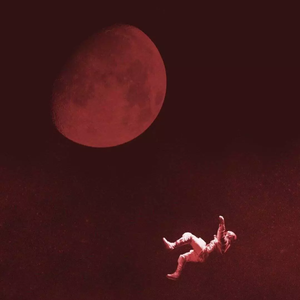 疯女人的马戏团