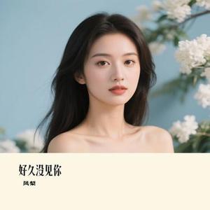 好久没见你 (凤梨 Remix)