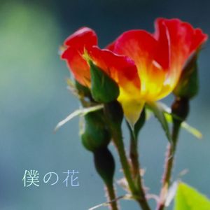 僕の花 (feat. 遥愛 & Mew)