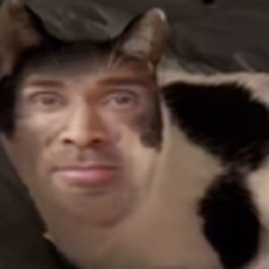 有个简单的问题(WhatIsLove)