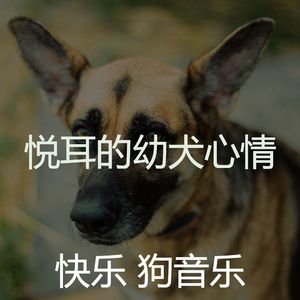 有趣可爱的狗情怀