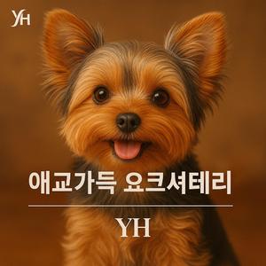 애교가득 요크셔테리어