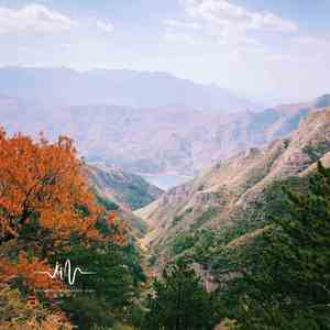 曼陀罗 (解压曲)