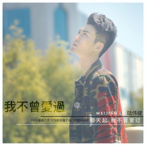 我不曾爱过 (伴奏)