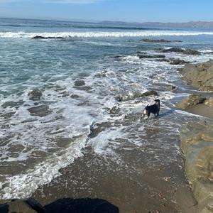 Theme for a busy morning