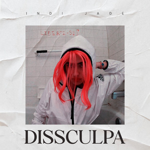Dissculpa