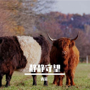 哪怕被礁石