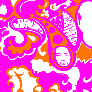 Skins of Silver Spoon