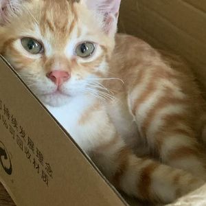 暗涌回声-_Undercurrent-Echoes_