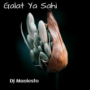 Galat Ya Sahi
