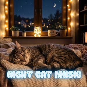 Night Cat Music, Pt. 1