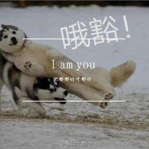 I Am You