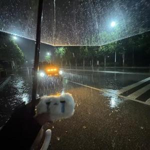 离开的雨夜