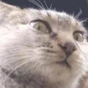 爱情戏（Album Version）