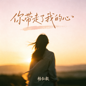 你带走了我的心