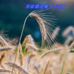 前世情解不开今生锁