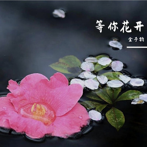 等你花开