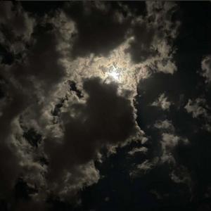 Spitting Venom Field Trip