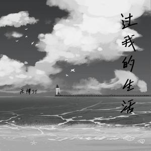 过我的生活